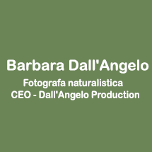 Barbara Dall’Angelo