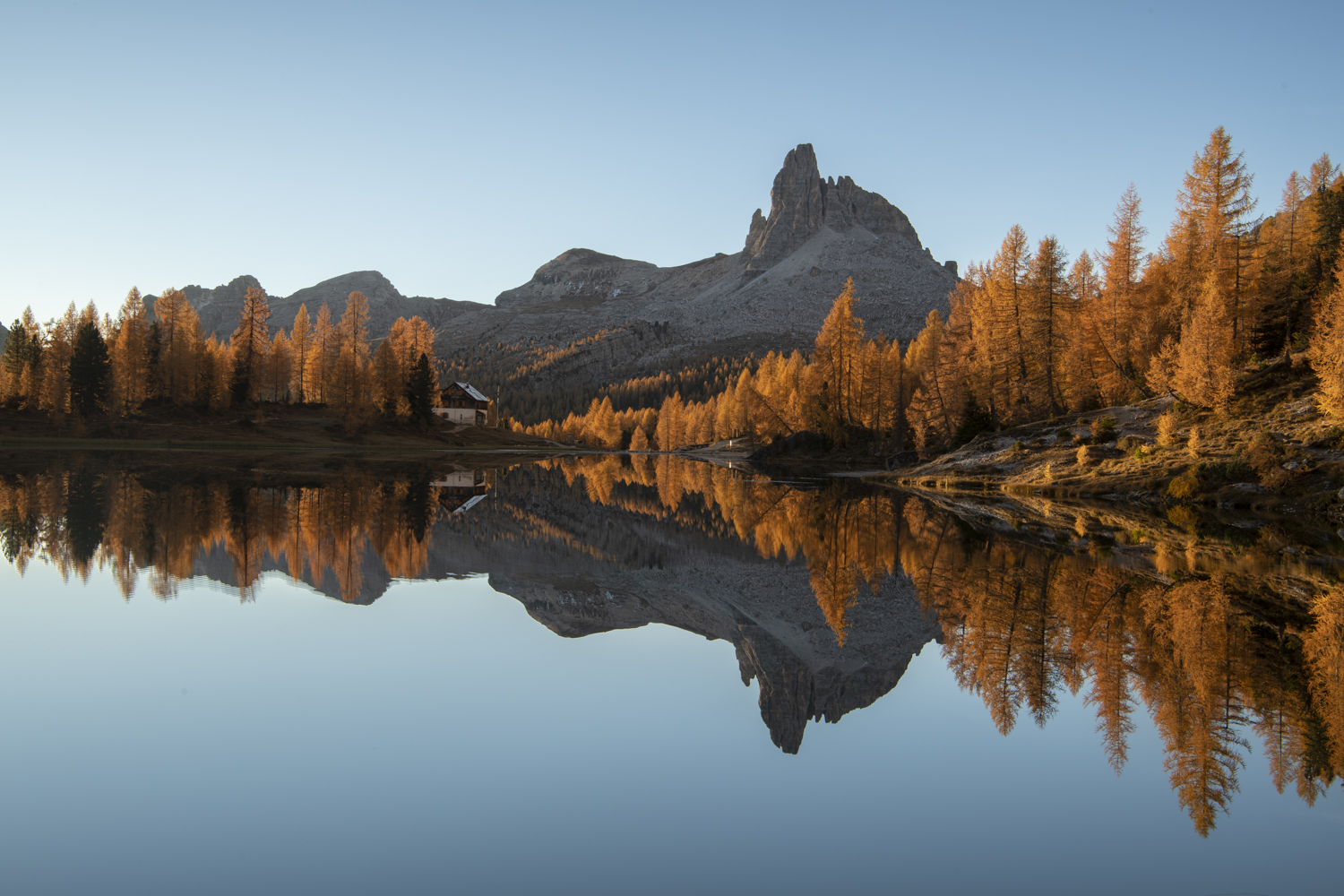 Accordo di compensazione con la fotografa Barbara Dall'Angelo